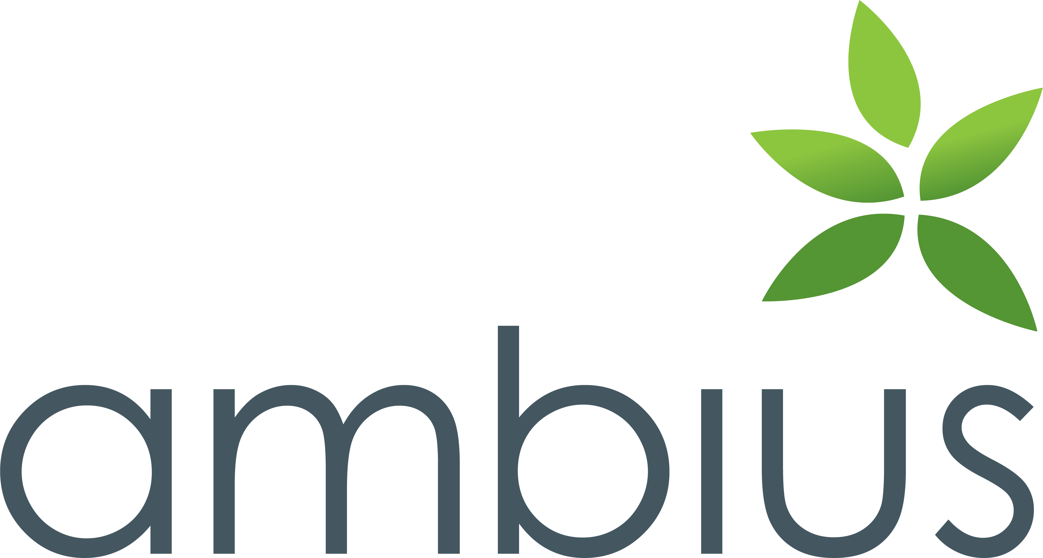 AMBIUS GRÅ LOGO GRÖNT LÖV.png